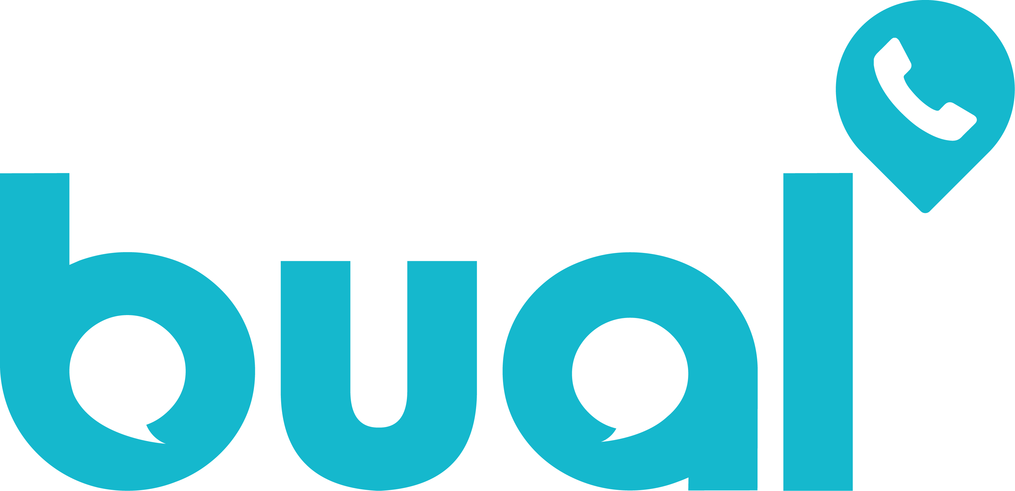 logo-bual